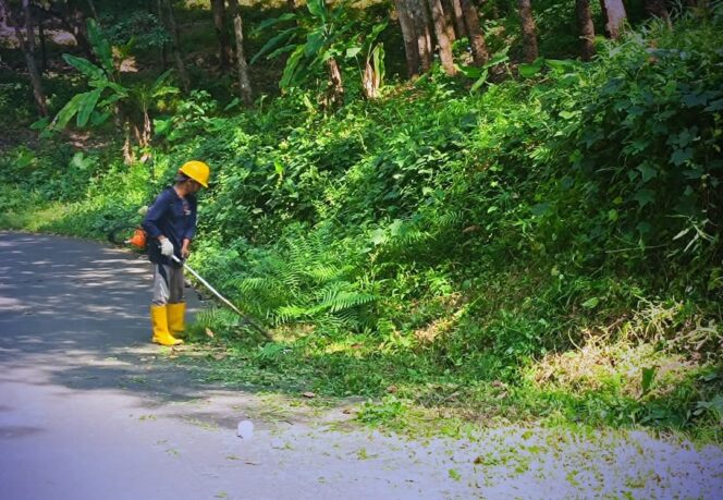 
 Dinas PU Kabupaten Sukabumi: Jaga Keselamatan Pengguna Jalan dengan Membersihkan Bahu Jalan Citepus-Cikurutug