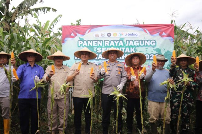 
 PANEN RAYA JAGUNG KUARTAL I: WABUP SUKABUMI – KOLABORASI KUNCI TERWUJUDNYA KEMANDIRIAN PANGAN