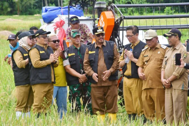 
 GERAKAN PANEN PADI, BUPATI TEGASKAN KECAMATAN CIEMAS SEBAGAI SALAH SATU PENOPANG UTAMA SWASEMBADA PANGAN SUKABUMI