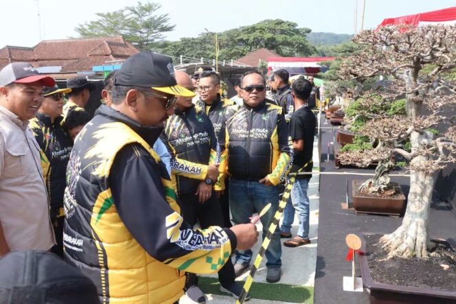 
 BUKA FESTIVAL BONSAI DI JAMPANGTENGAH, BUPATI: BONSAI BERPOTENSI DORONG EKONOMI KREATIF DAN PARIWISATA DAERAH