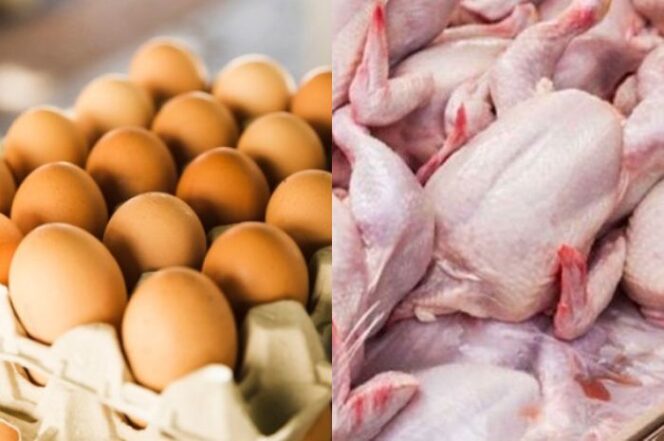 
 Disdagin: Daging dan Telur Ayam di Kabupaten Sukabumi Turun Harga Per Awal September 2026